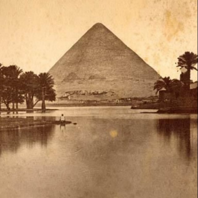 اخبار مصر 